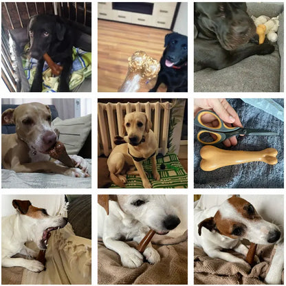 Durable Chew Toy Bone - Teeth Cleaning & Teething Stick